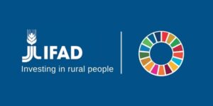 International-Fund-for-Agricultural-Development-IFAD-Internship-Program-2025-768x384