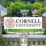Cornell-University-Postgraduate-Scholarship-356x220