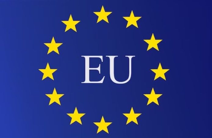 European-Union-Traineeship-696x455