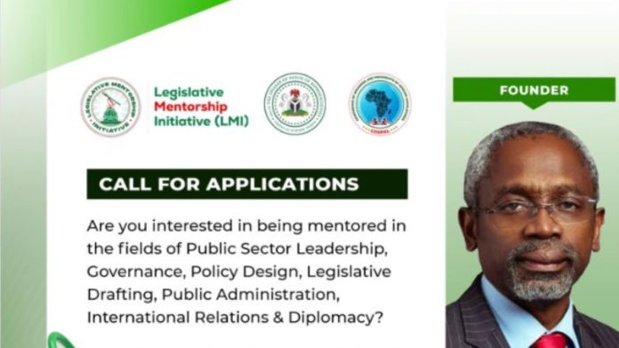 Gbajabiamila-Legislative-Mentorship-Institute-696x392