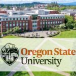Oregon-State-University-Scholarship-696x392