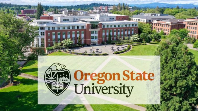 Oregon-State-University-Scholarship-696x392