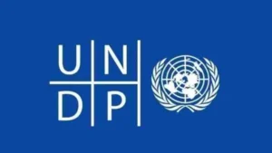 UNDP-Global-Internship-696x392