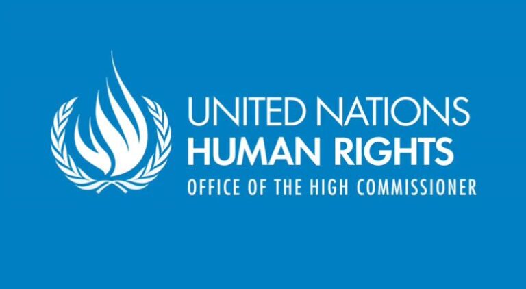 united-nations-human-rights-minorities-fellowship