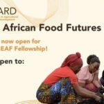 2026-sheaf-fellowship