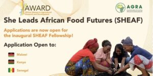 2026-sheaf-fellowship