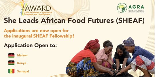 2026-sheaf-fellowship