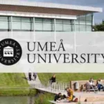 Umea-University-Postgraduate-Scholarship-696x392