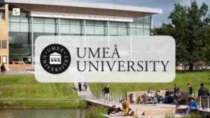 Umea-University-Postgraduate-Scholarship-696x392