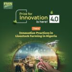 fmn-prize-for-innovation