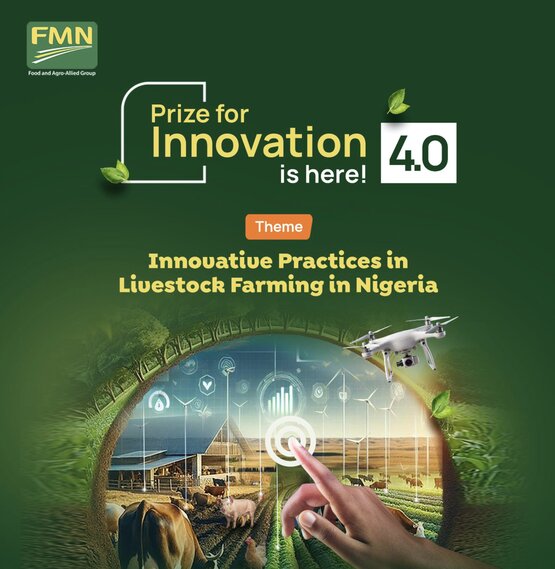 fmn-prize-for-innovation