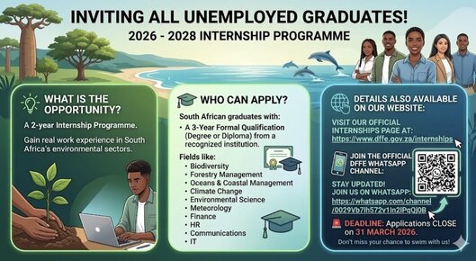 dffe-internship-2026-2028-south-africa