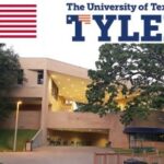 University-of-Texas-Scholarship-356x220