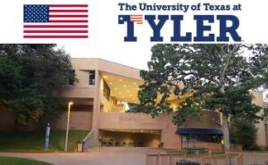University-of-Texas-Scholarship-356x220