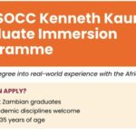 ecosocc-kenneth-kaunda-graduate-immersion-programme
