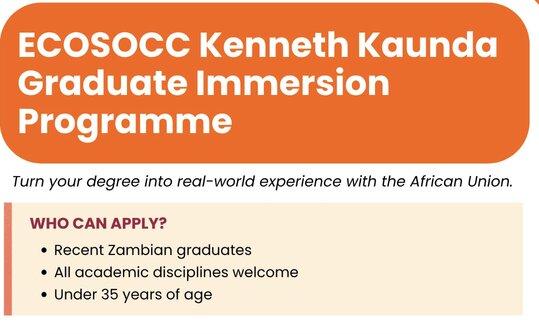 ecosocc-kenneth-kaunda-graduate-immersion-programme